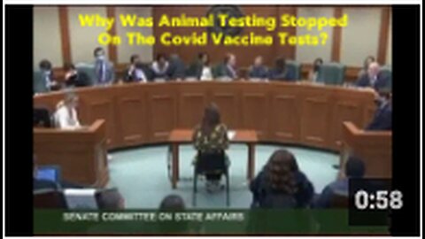 Why Was Animal Testing Stopped On The Covid Vaccine Tests?