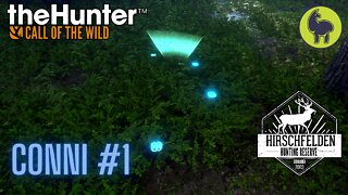 The Hunter: call of the Wild, Conni #1 Hirschfelden (PS5 4K)