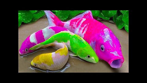 Funny Stop Motion Cooking ASMR Carp Rainbow Eels Colorful Eggs, Tilapia, Axolotl Satisfying Video