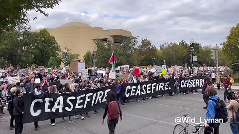 The protestors filmed moving down the street, blocking all traffic, moving toward the Mall
