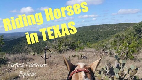 Riding Horses in Texas part 1!