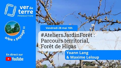 #AteliersJardinForêt : Parcours territorial, Forêt de Higas