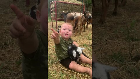 Cute Baby Goat and Toddler