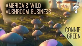 Origins and Evolution of America's Wild Mushroom Business | Connie Green