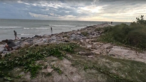 Collecting Sea Shells in St Petersburg Florida after Hurricane Idalia