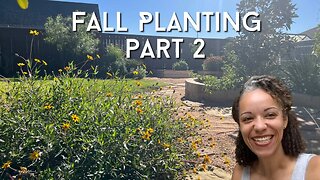 Fall Replacements for my Drought Dead Plants- Zone 8B Central Texas-part 2
