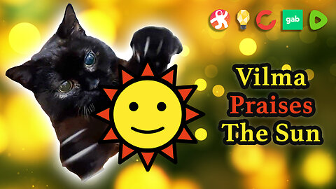 Vilma Cat Praises The Sun
