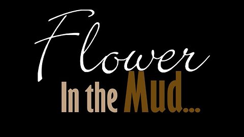 Darryl John Kennedy - "Flower in the Mud"