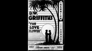 The Love Flower (1920 film) - Directed by D. W. Griffith - Full Movie
