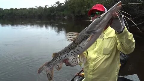 This is the Coolest Catfish!