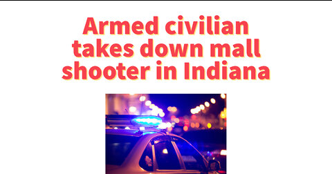 Armed civilian takes out mall shooter in Indiana