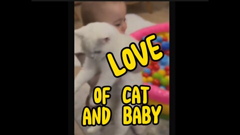 of cat and baby