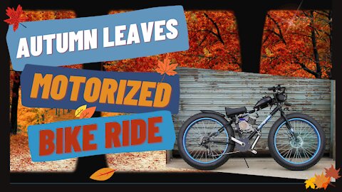 Autumn Leaves | Motorized Bike Ride | Norristown, PA. November 11, 2021
