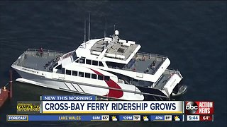 Cross-Bay Ferry sees increased ridership this season