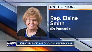 Idaho lawmakers draft Good Samaritan bill aimed to prevent hot car deaths