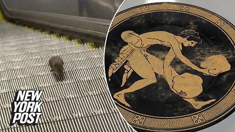 'Sisyphus' rat filmed making never-ending climb up down escalator
