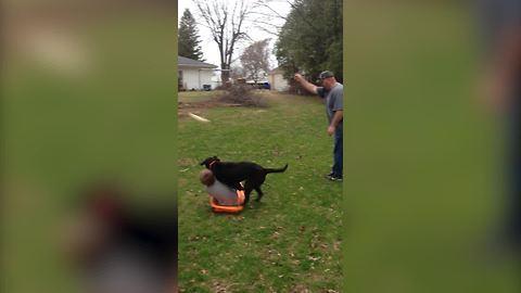 "Dog Knocks Boy Over and Pulls Sled Out From Under Him"