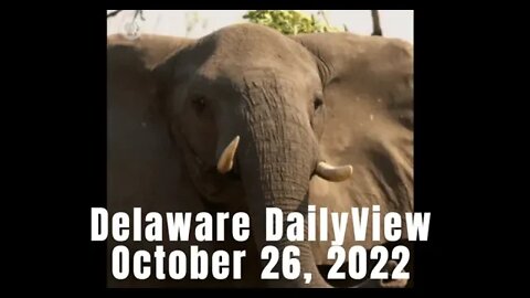 The Bond Market Collapse. Delaware DailyViews: October 26th, 2022