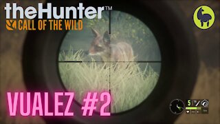 The Hunter: Call of the Wild, Vualez #2