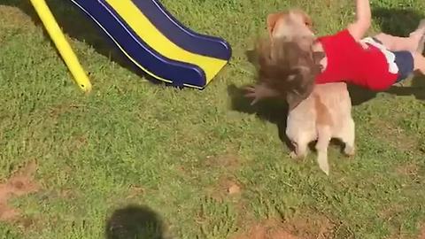 Little Girl Is Excited About Her New Slide Until Her Dog Runs Her Over