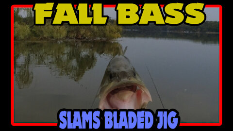 Fall Kayak Bass fishing in Southeast Wisconsin on the Native Falcon 11 using a Alloy M Bait Caster