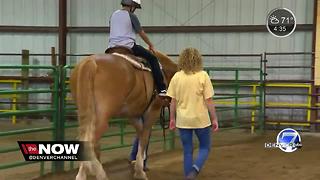 CSU Equine Center providing horse therapy to inner-city kids