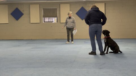 Queen Sophia Kay of the South puppy graduation test 4