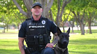 New details in Gilbert officer case