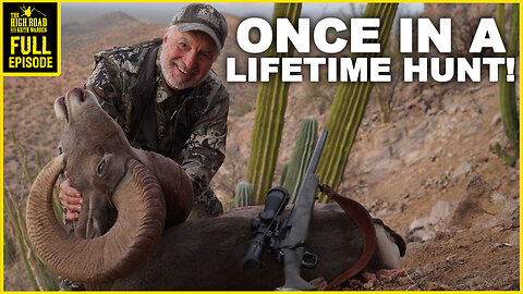 BIG HORN SHEEP HUNT of a LIFETIME