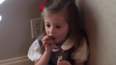 Mom & Dog Don't Understand Toddler Girl Who Was Caught Eating Dog Treats