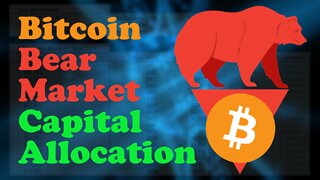 Capital Allocation Spreadsheet for Bitcoin Bear Market
