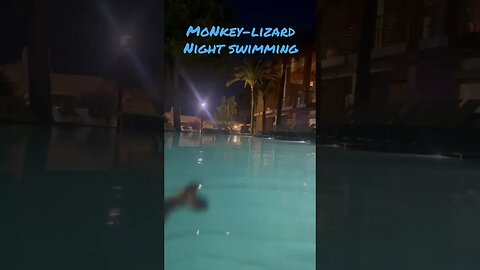 Night ‘MoNKeY-LiZaRD’ Swimming… deserves a quiet night! #shorts