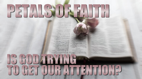 Petals of Faith - Is GOD Trying to Get Our Attention?