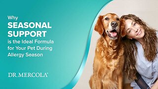 Why SEASONAL SUPPORT is the Ideal Formula for Your Pet During Allergy Season