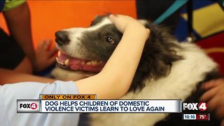 Dog helps children of domestic violence victims heal