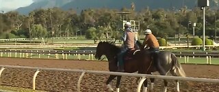 Horse racing to resume at Santa Anita Park