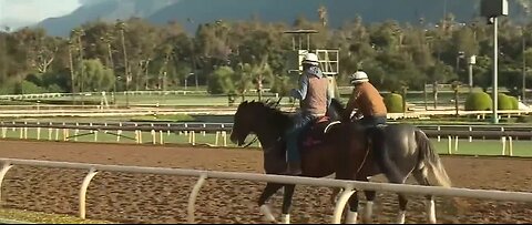 Horse racing to resume at Santa Anita Park
