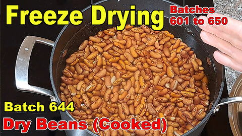 Batch 644 Dry Beans, Cooked