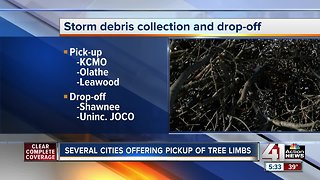 Cities offering curbside storm debris pick-up Monday