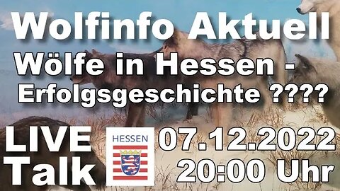 Wolfinfo Aktuell LIVE TALK (Wölfe in Hessen, eine Erfolgsgeschichte ?????)