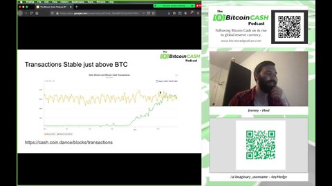 The Bitcoin Cash Podcast #7 - Tether Investigation & Cryptocurrency Volatility