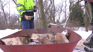 Wood Chopping Heroes: Holt neighbors come together to help a longtime community volunteer
