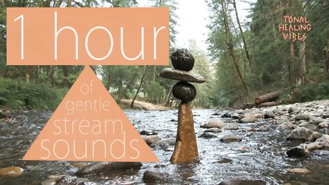 1 Hour Gentle River Stream Sounds for Sleep, Study, & Relaxation | No Music, Just Nature