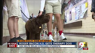 Roger Bacon High School gets therapy dog