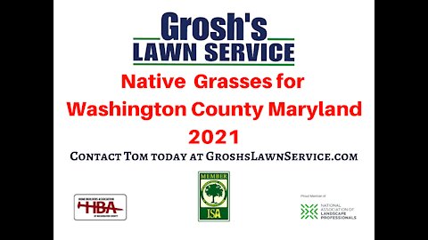 Native Grasses Landscape Design Clear Spring MD Contractor GroshsLawnService.com