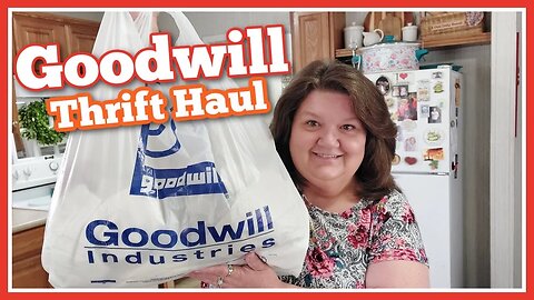 Goodwill Outlet / Goodwill Bins Thrift Store Haul