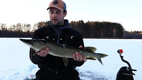 Catch and Cook Pike with Hand Tied Leader (Icefishing)