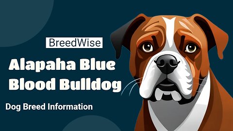 From the History to the Present: Everything You Need to Know About the Alapaha Blue Blood Bulldog!