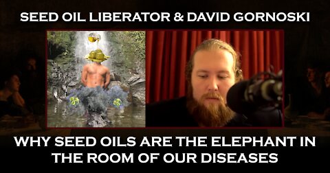 Seed Oil Liberator Interview: Why Seed Oils are the Elephant in the Room of our Diseases