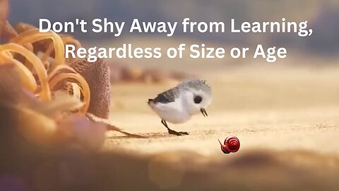 Don't Shy Away from Learning, Regardless of Size or Age | Learn Good |learning from anyone